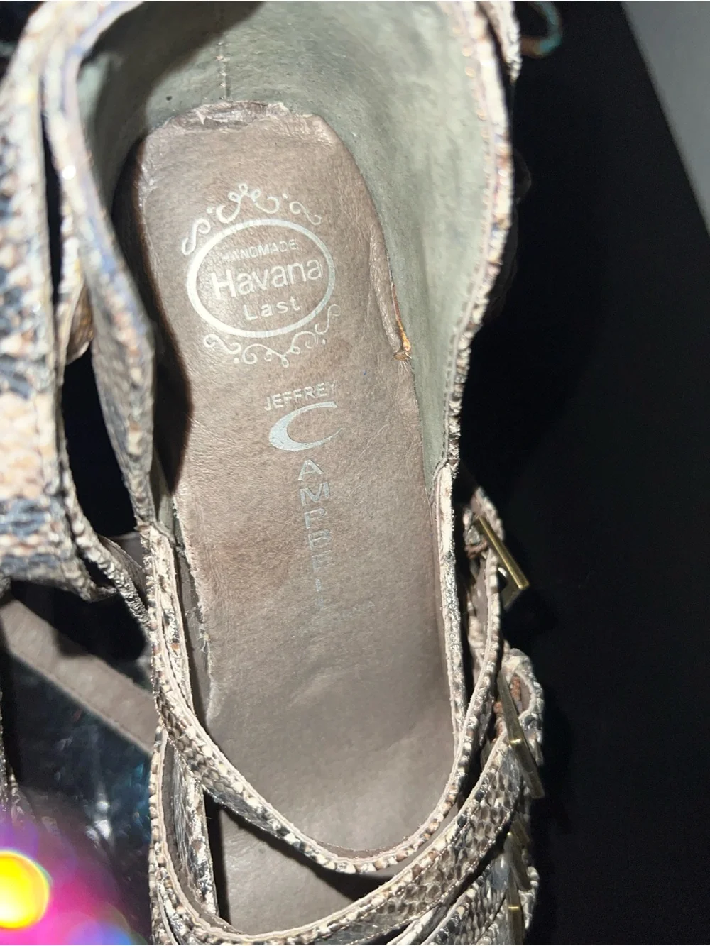 Jeffrey Campbell Snake-Print Pointed Wedge Heels in Taupe/Brown